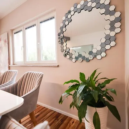 Pool With Traditional Dalmatian Konoba