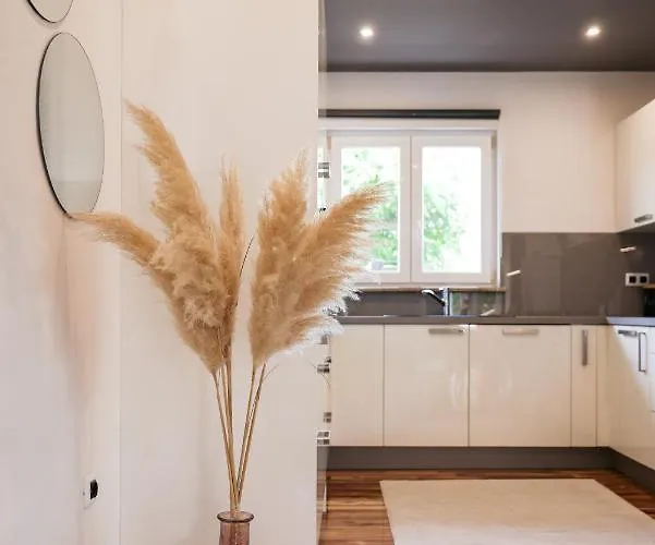 Pool With Traditional Dalmatian Konoba *